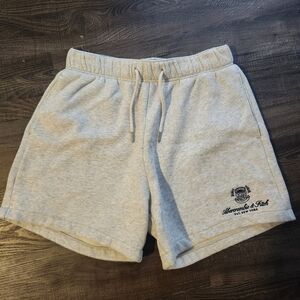 Gray Casual Shorts with Embroidered Logo
